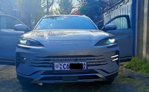 BYD Song Plus DM-i 2024 Gray