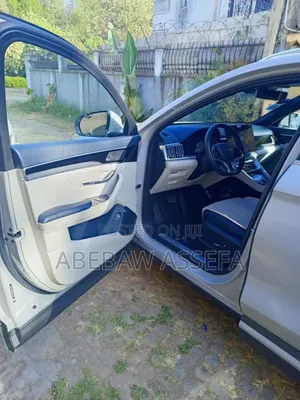 BYD Song Plus DM-i 2024 Gray