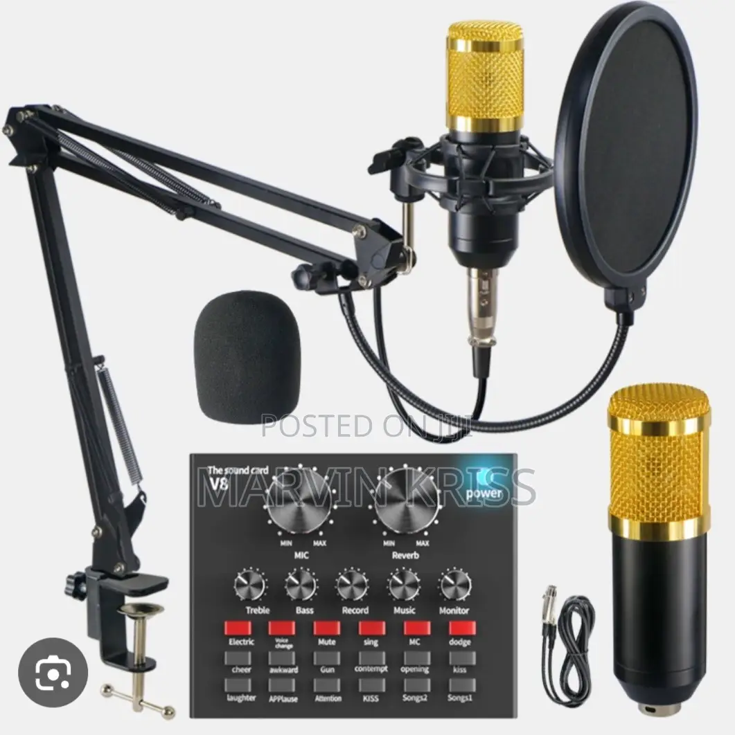 Condenser Microphone