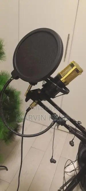 Condenser Microphone