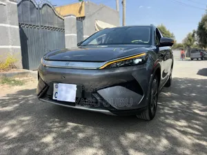 BYD Yuan Plus 2025 Gray