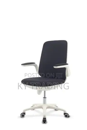 Modern Flexible Arms Staff Chair