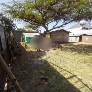 1bdrm House in ኮቶቤ 580, Bole for sale