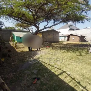 1bdrm House in ኮቶቤ 580, Bole for sale