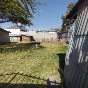 1bdrm House in ኮቶቤ 580, Bole for sale