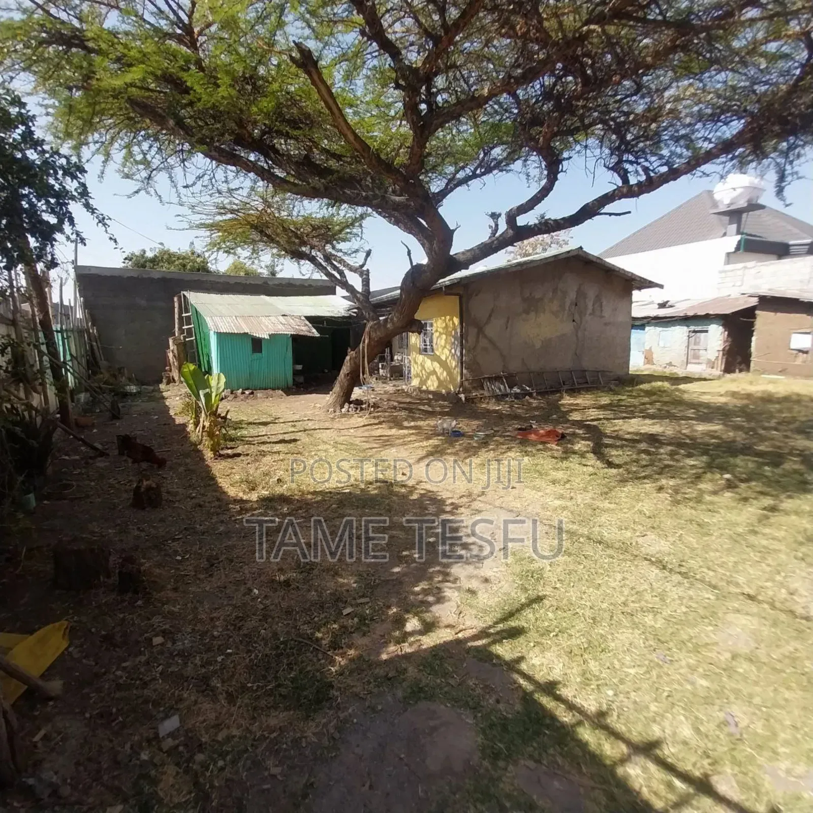 1bdrm House in ኮቶቤ 580, Bole for sale