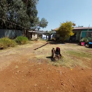 3bdrm House in ኮቶቤ, Yeka for sale