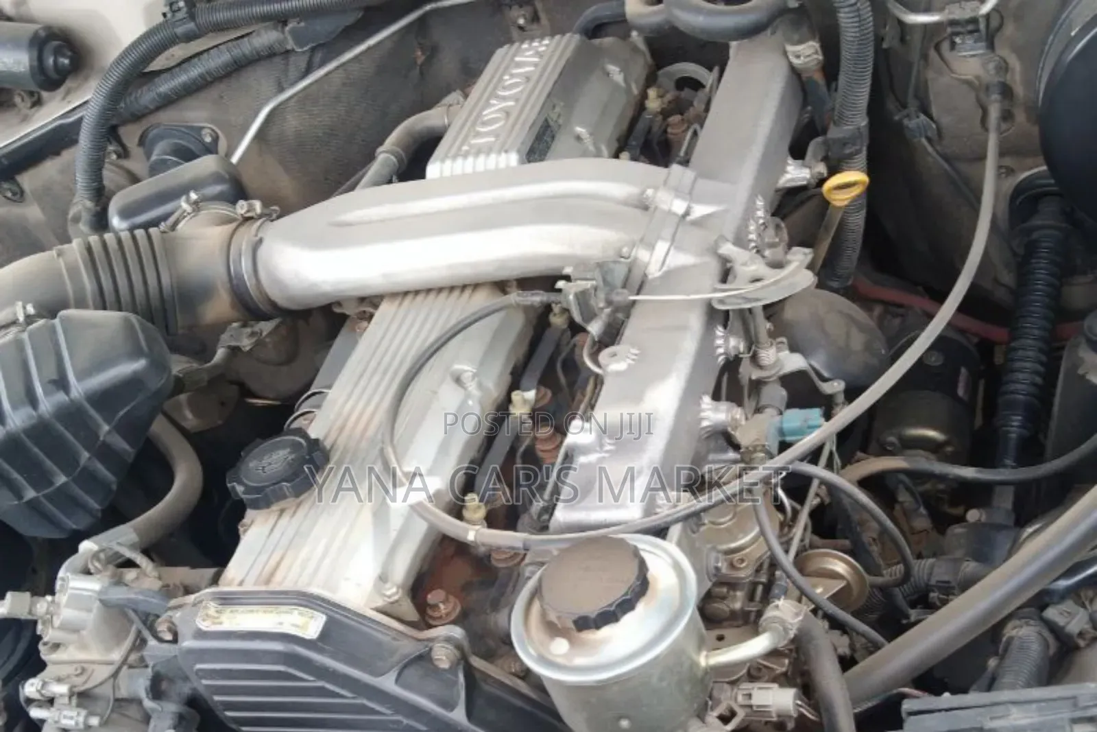 Toyota Land Cruiser 2004 Gold