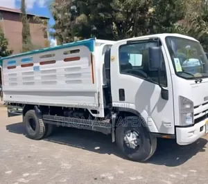 Isuzu NPR 2023
