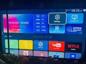 Television