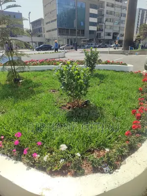 Space Rent for Coffee