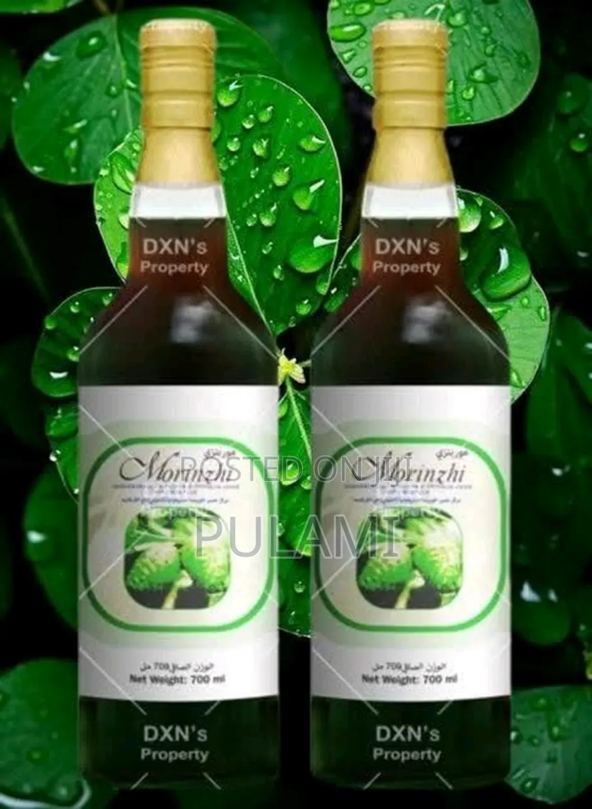 Morinzhi Juice ( Noni Fruit) Vitamin C., Enzyes, Antioxideant