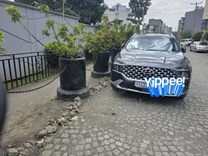 Hyundai Santa Fe Hybrid 2023 Gray