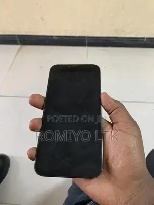 Apple iPhone 11 Pro Max 64 GB Gray