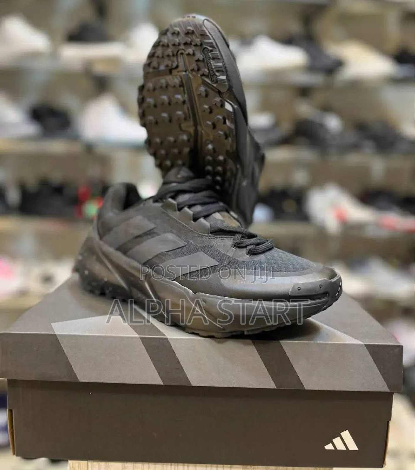 New Arrival Adidas Adistar 2026 Made in Vietnam