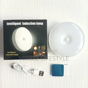 Smart Sensor Night Light