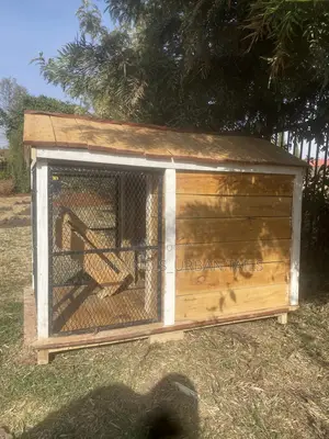 Wooden Dog House