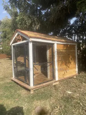 Wooden Dog House