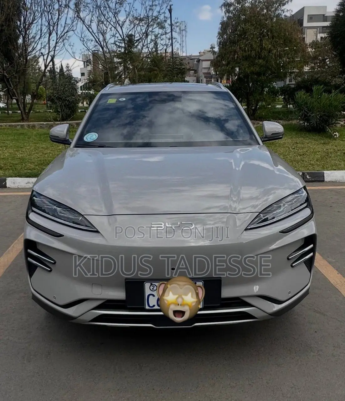 BYD Song Plus 2025 Gray