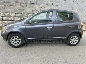 Toyota Yaris 2001 Gray