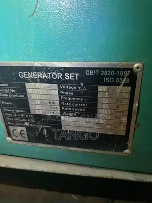 Cummins Diesel Generator