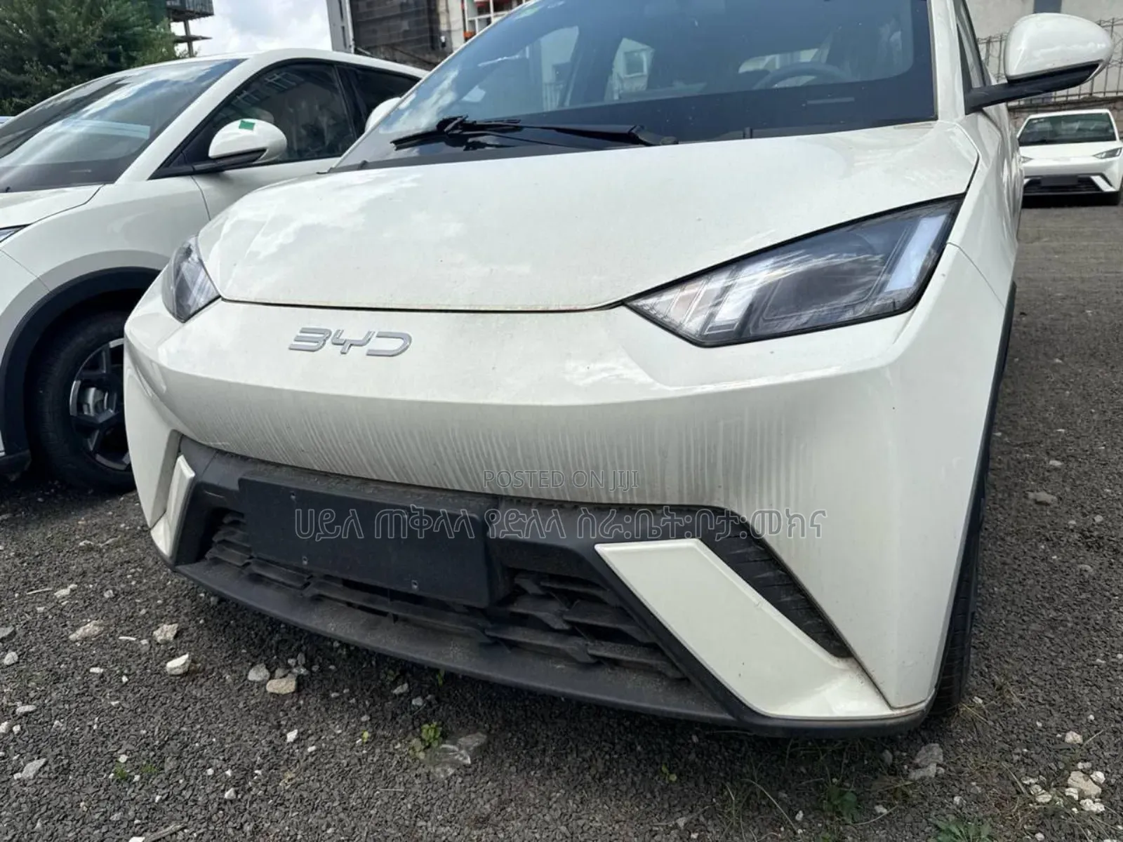 New BYD Seagull 2025 White