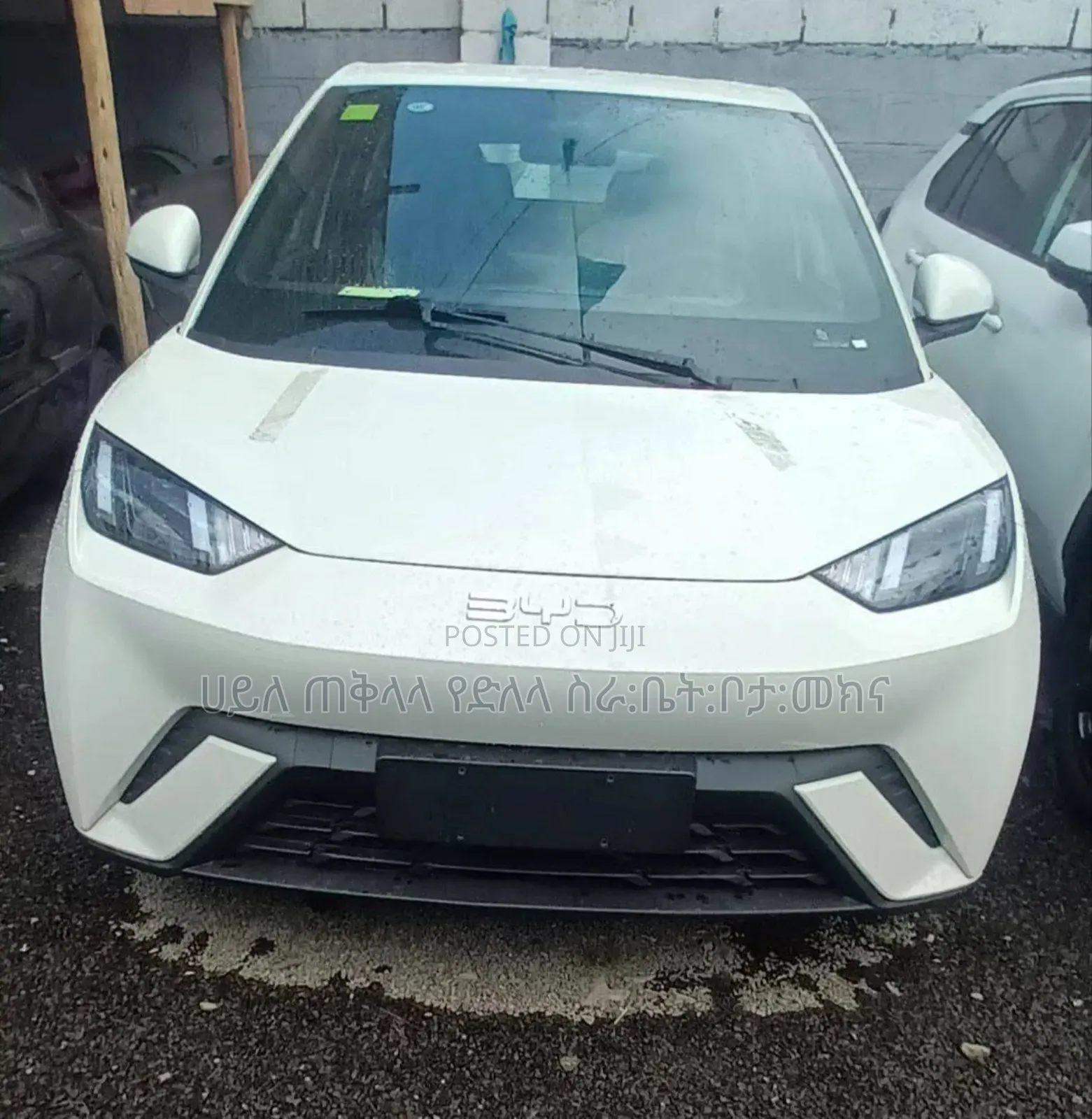 New BYD Seagull 2025 White