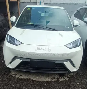 New BYD Seagull 2025 White