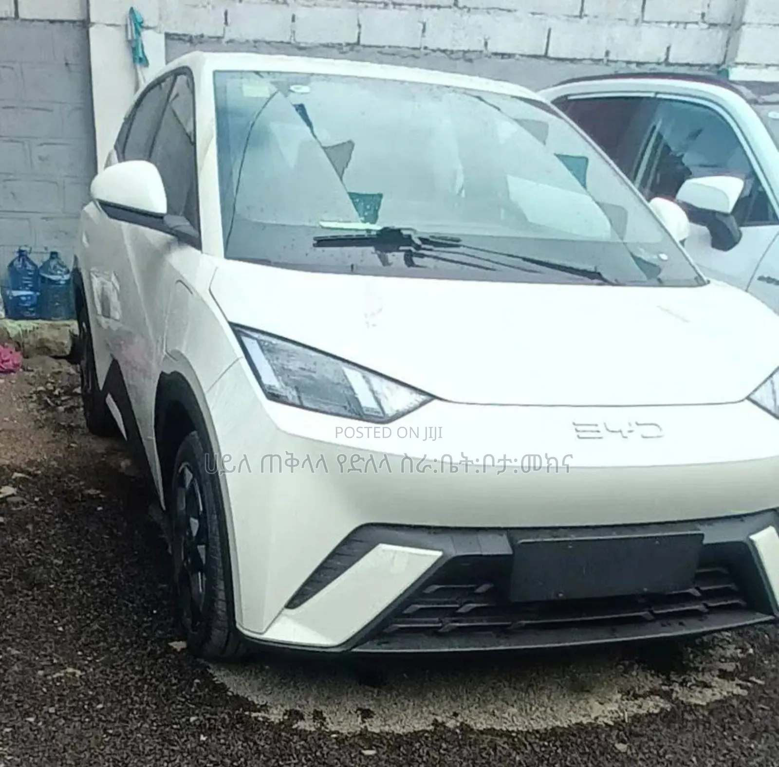 New BYD Seagull 2025 White