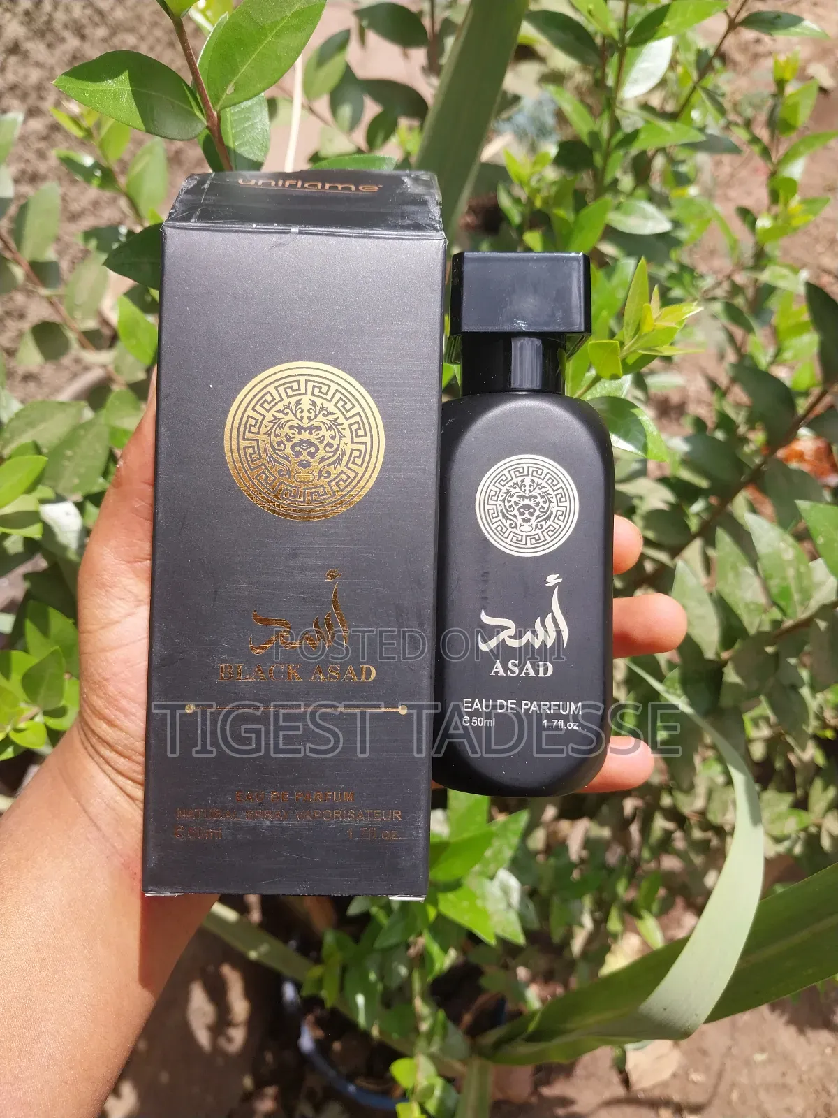 Asad Perfume