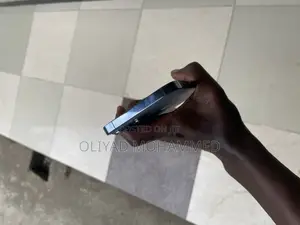 Apple iPhone 13 Pro Max 256 GB Blue