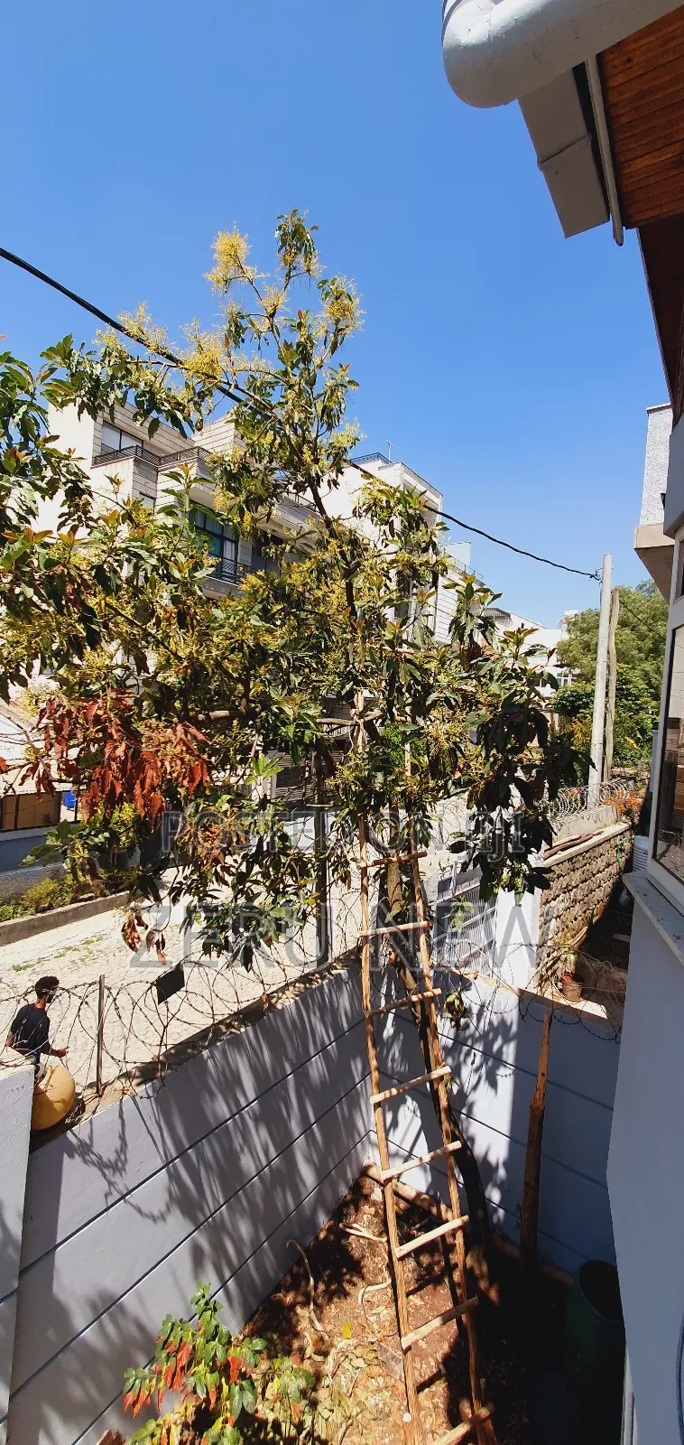 3bdrm House in Bole for sale