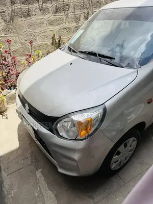 Suzuki Alto 2022 Silver