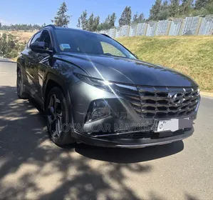 Hyundai Tucson 2021 Gray