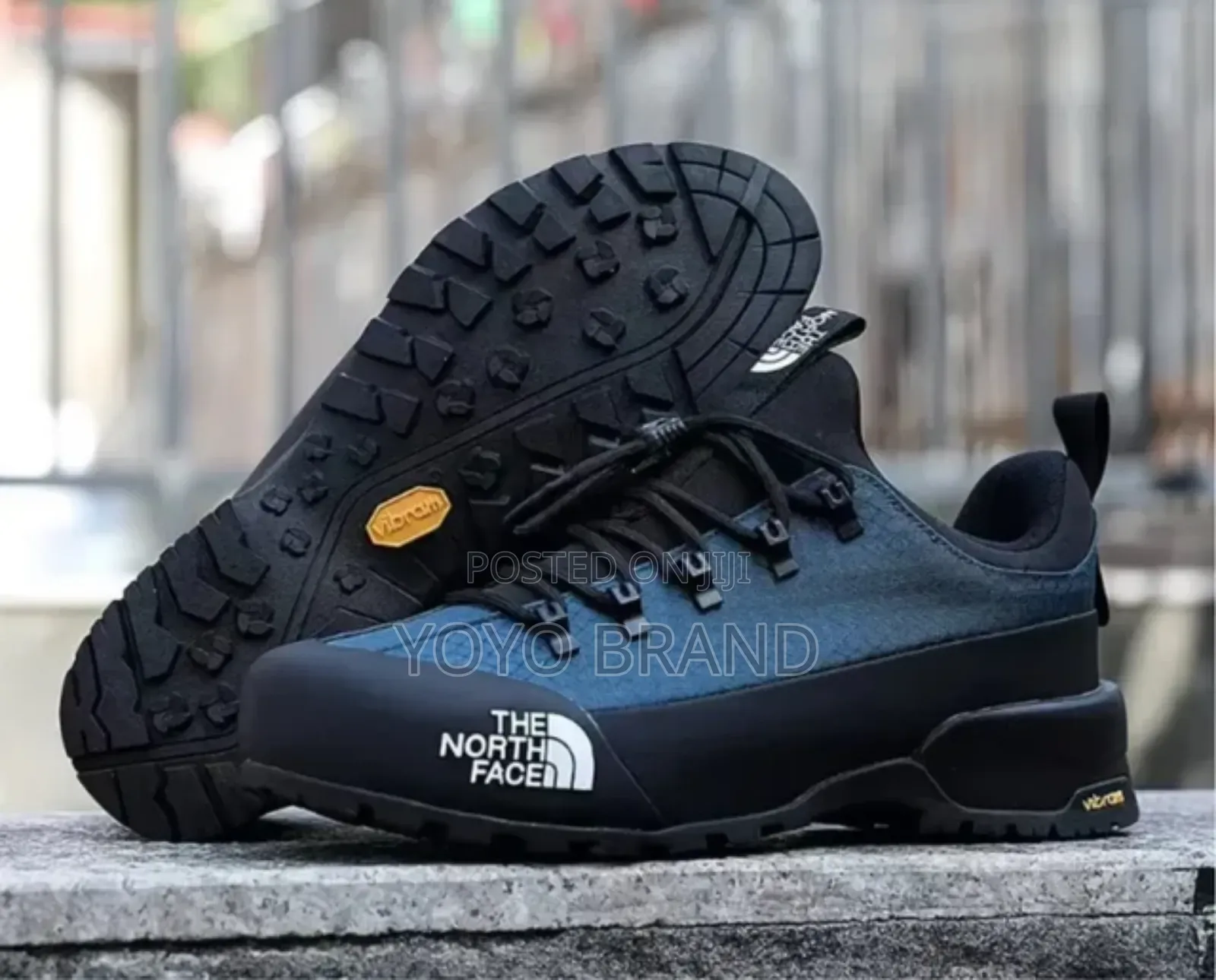 New Arrived the North Face Blue Fashion Sneaker Shoes