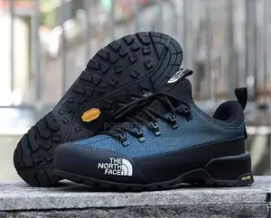 New Arrived the North Face Blue Fashion Sneaker Shoes
