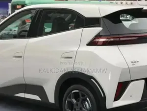 New BYD Seagull 2025 White