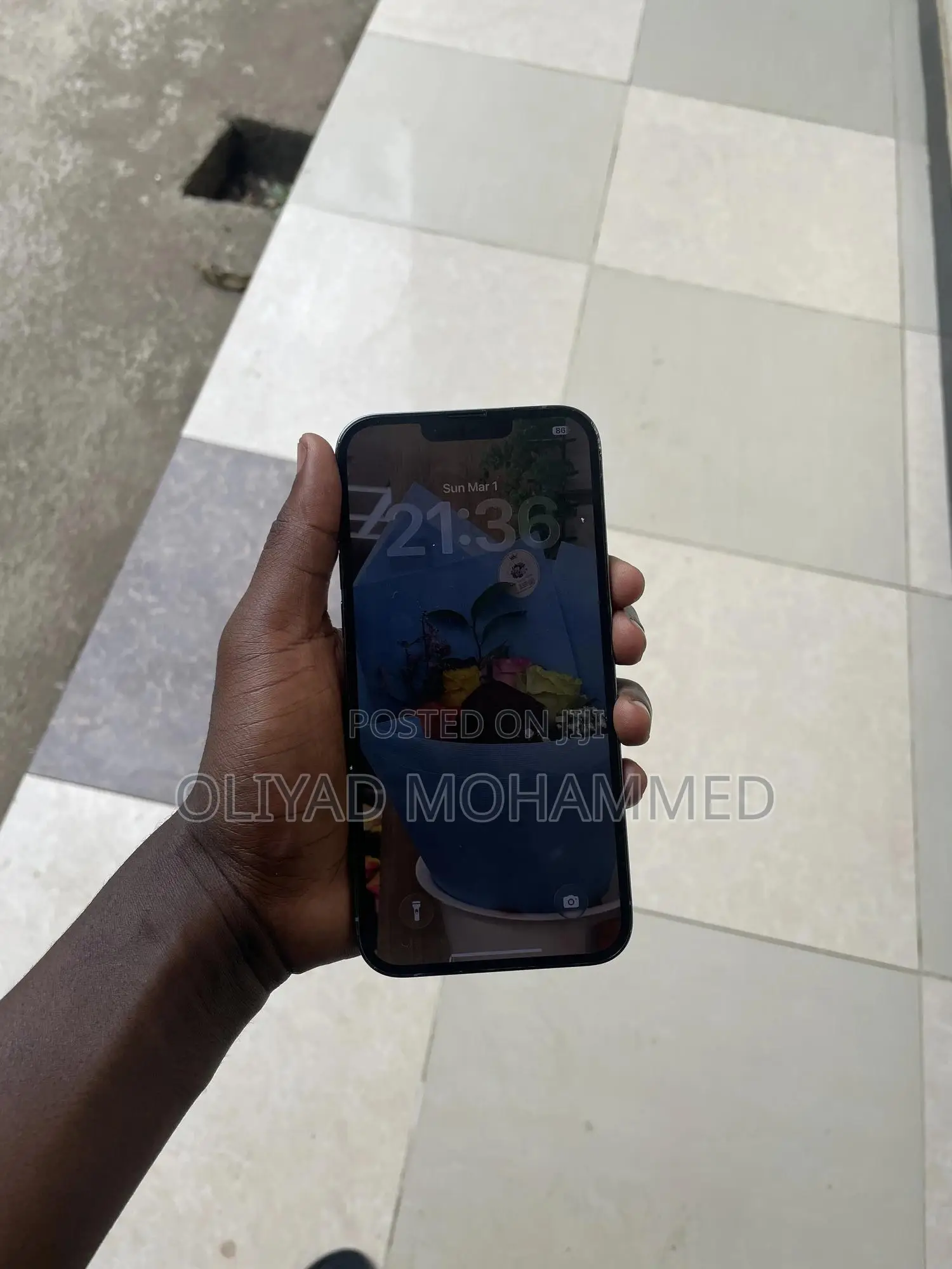 Apple iPhone 13 Pro Max 256 GB Blue