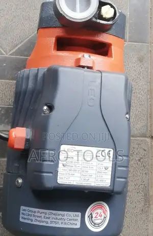 Leo 1hp Surface Pump
