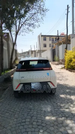 BYD Seagull 2024 White