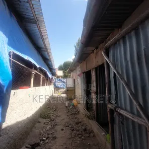 Chicken Ware House For Rent