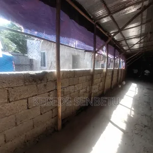 Chicken Ware House For Rent