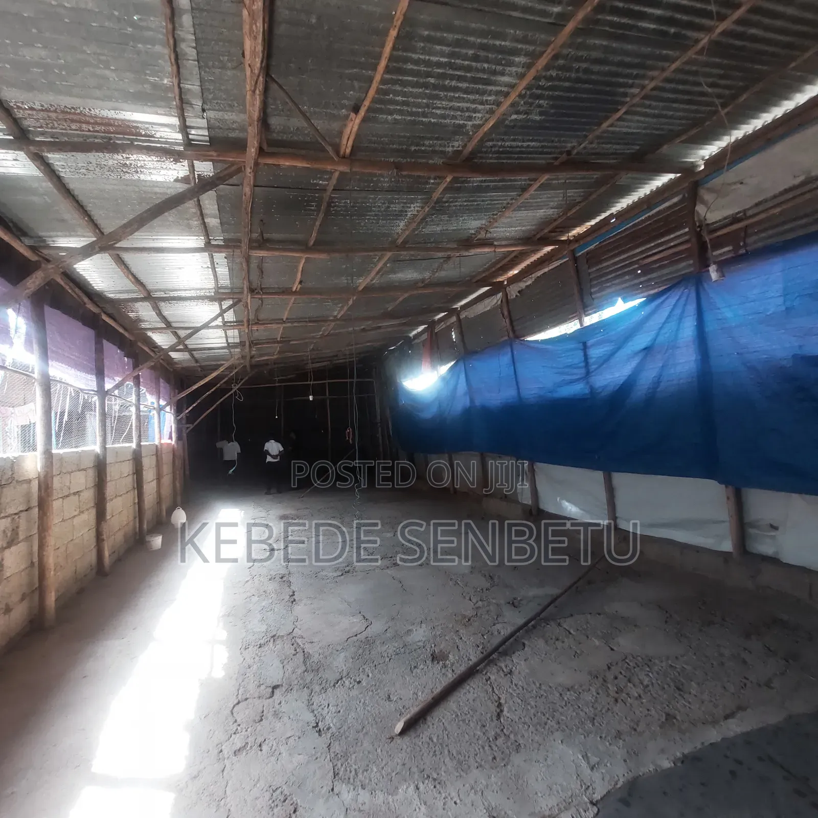 Chicken Ware House For Rent