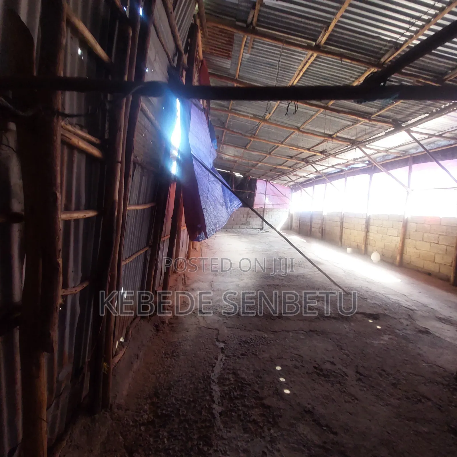 Chicken Ware House For Rent