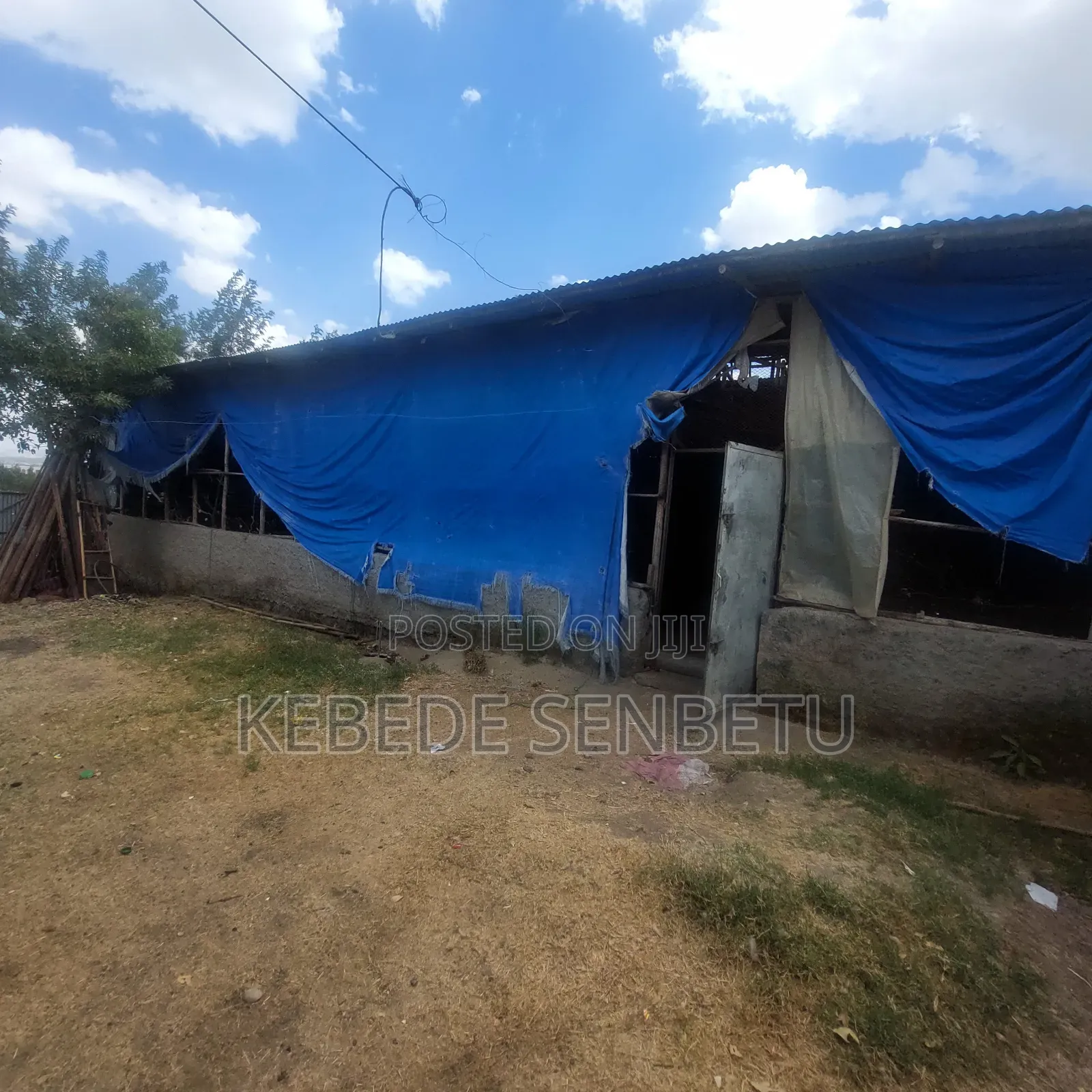 Chicken Ware House for Sale