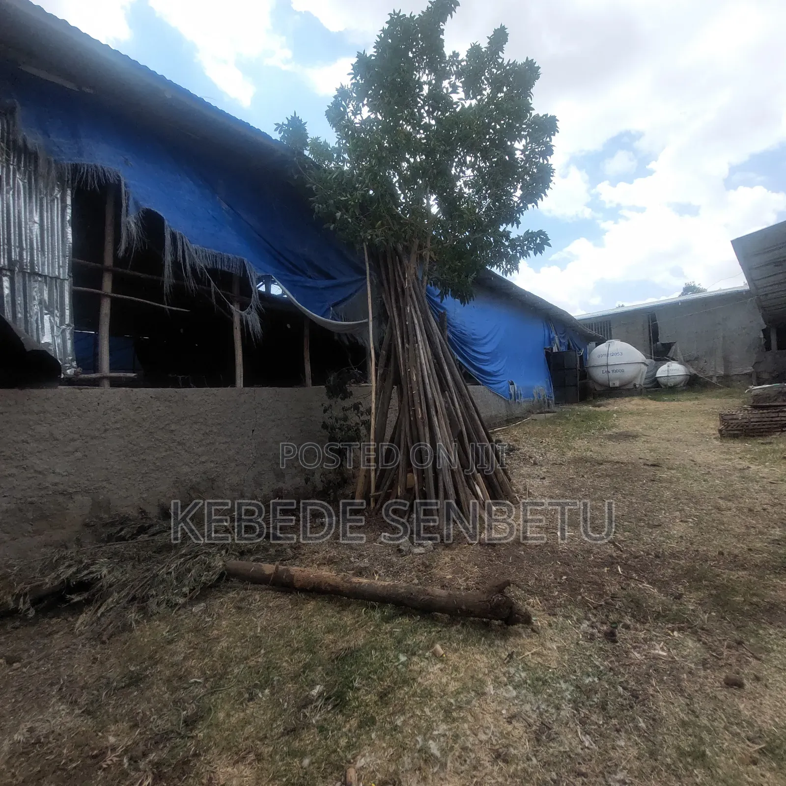 Chicken Ware House for Sale