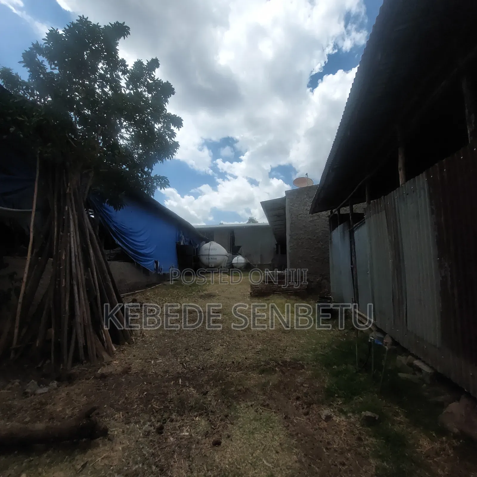 Chicken Ware House for Sale