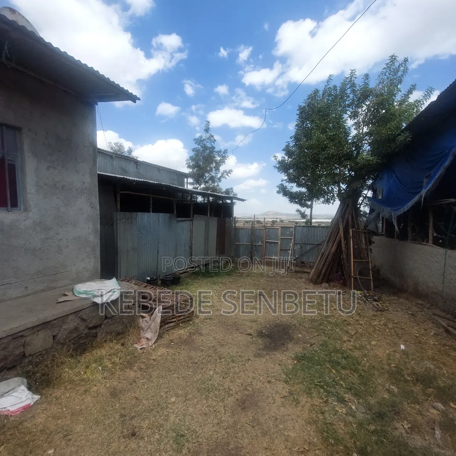 Chicken Ware House for Sale