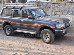 Toyota Land Cruiser 1990 Gray