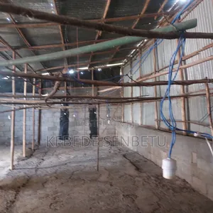 Chicken Ware House for Rent